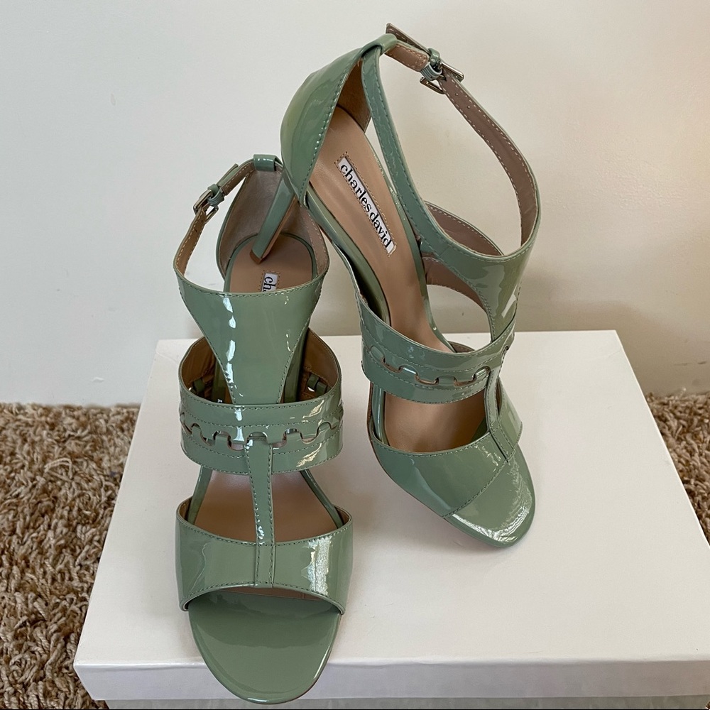 Charles David - Rapture